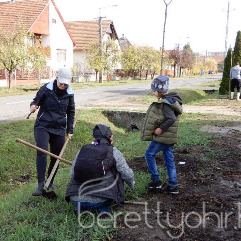 Közösségi faültetés Berettyóújfaluban 74